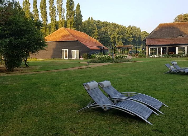 Entspannen Sie sich auf den Liegestuehlen im Garten von Huisje in Baarle-Nassau, einem Ferienhaus in Nordbrabant.