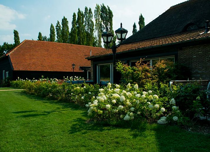 Wunderschoenes Morgenlicht ueber dem Teich im Ferienhaus in Baarle-Nassau, einer Ferienunterkunft in Nordbrabant.