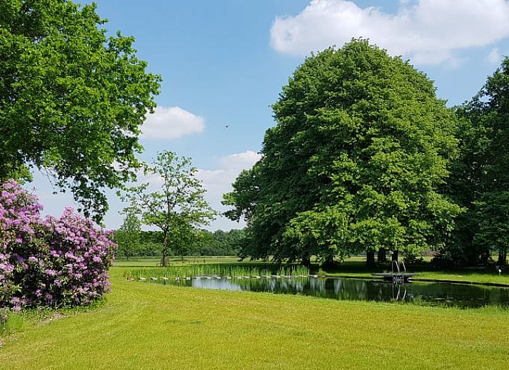 Wunderschoenes Morgenlicht ueber dem Teich im Ferienhaus in Baarle-Nassau, einer Ferienunterkunft in Nordbrabant.