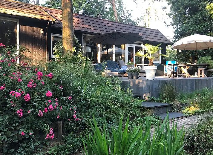Unterkunft 410845 - Ferienhaus Kempen - Vrijstaand boshuis