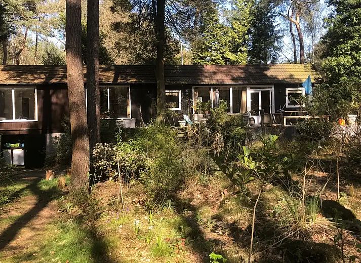 Unterkunft 410845 - Ferienhaus Kempen - Vrijstaand boshuis