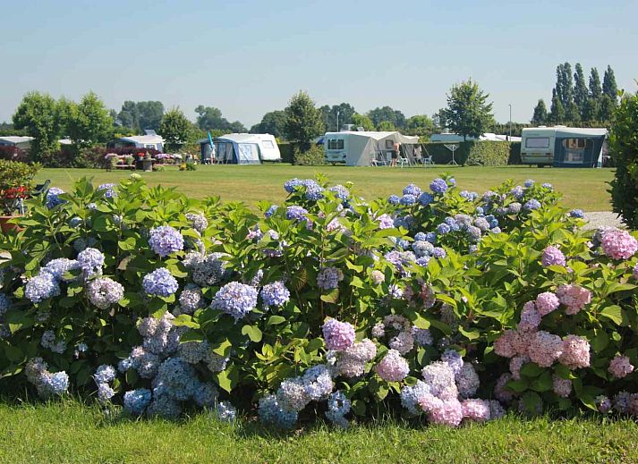 Gemuetliche Terrasse im Zentrum von Baarle-Nassau beim Ferienhaus NB019