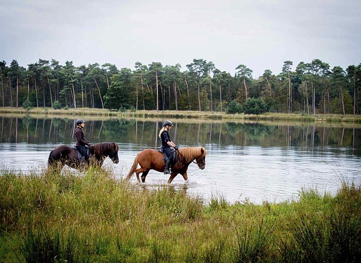 NB019 Ferienhaus mit grossem Garten in Baarle-Nassau, Kempen