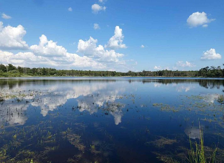 Moderne Einrichtung des Ferienhauses NB019 in Baarle-Nassau, Nordbrabant