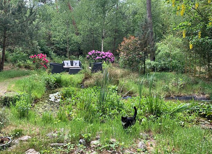 Ruime woonkamer en eetkamer in Mc Ghil vakantiehuis, Baarle-Nassau, Noord Brabant.