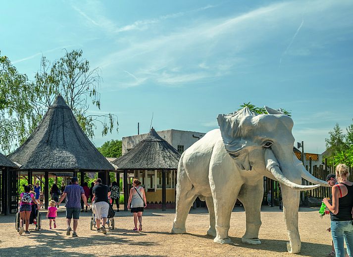 Verblijf 410905 • Vakantiewoning Kempen • 6-pers. Savanne Lodge