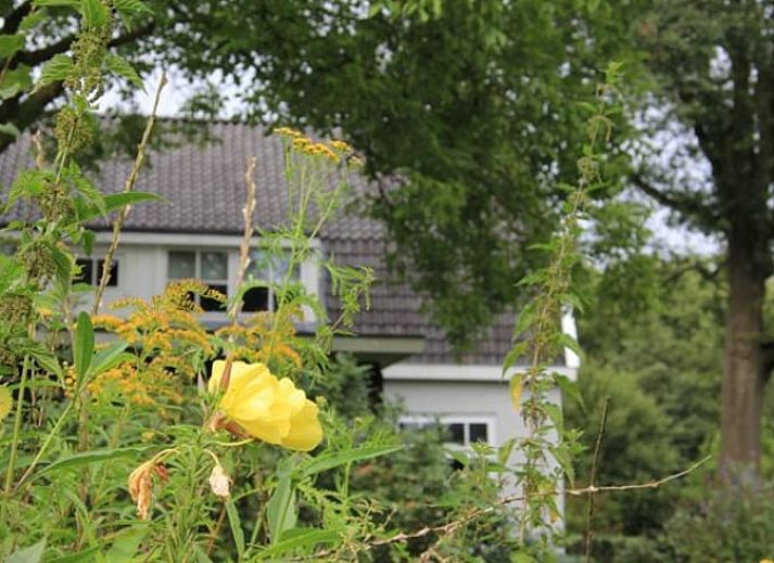 Unterkunft 411105 - Ferienhaus Kempen - Vakantiehuisje in Oirschot
