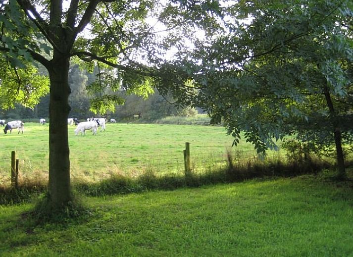 Unterkunft 411105 - Ferienhaus Kempen - Vakantiehuisje in Oirschot