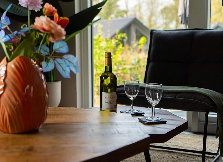 Ecovilla Waterzicht Wellness in Oirschot, vakantiehuis met terras en ligstoelen in de groene natuur van Kempen, Noord Brabant.