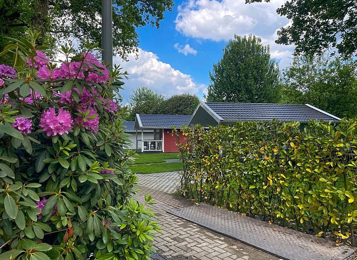 Guest house 411110 - Holiday property Kempen - Ecovilla Boszicht Comfort | 6 personen