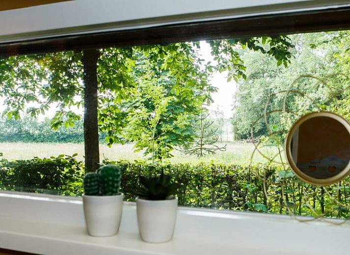 Geniessen Sie die Ruhe im Ferienhaus in Oirschot, Nordbrabant, mit einer einladenden Terrasse, umgeben von gruener Natur.