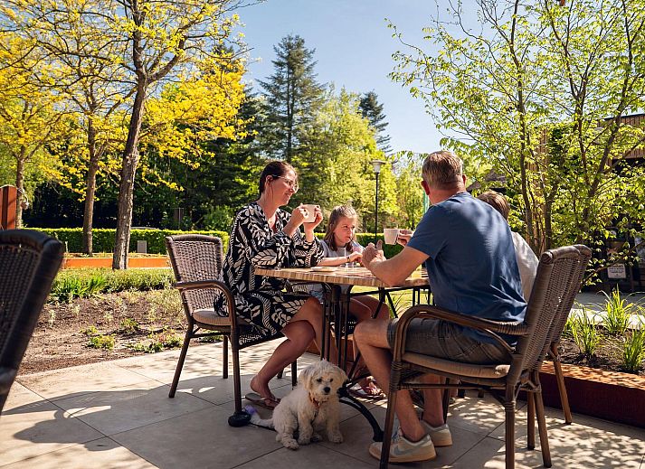 Open living space in Wood Lodge Waterkant, Veldhoven, with designer furniture and colorful accents.