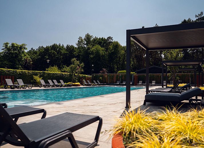 Open living space in Wood Lodge Waterkant, Veldhoven, with designer furniture and colorful accents.