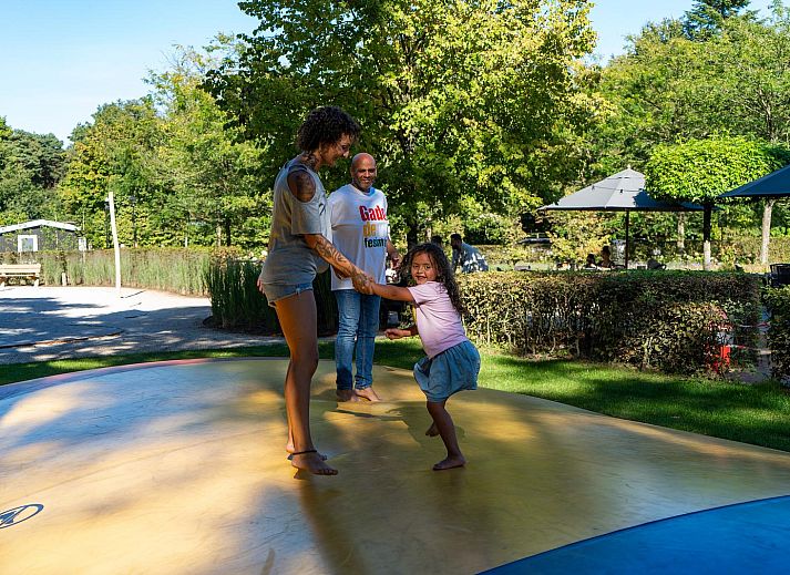 Verblijf 411216 - Vakantiewoning Kempen - Villa Molenvelden met eigen Zwembad, Hottub, Sauna & Grill