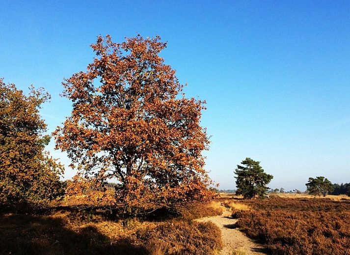 Guest house 411218 - Holiday property Kempen - Villa Waterzicht Luxe met Hottub | 4 personen