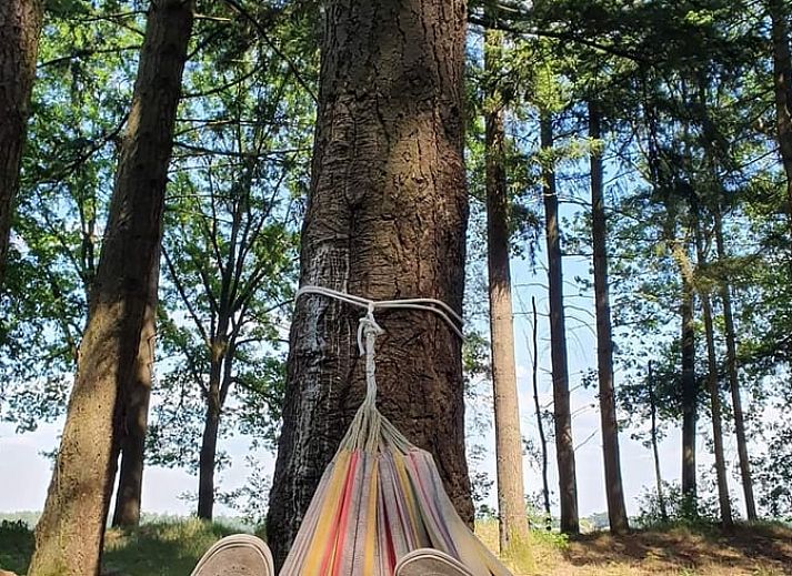 Huisje in Bladel, rustieke vakantiewoning met buitenruimte in Bladel, Kempen.