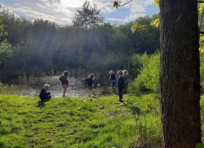 Huisje in Bladel, koken bij de houtkachel in een vakantiehuis in Kempen.