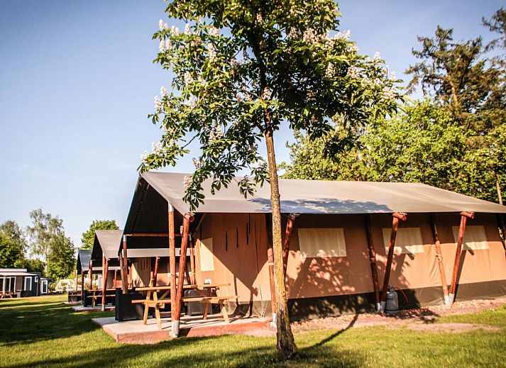 Unterkunft 411609 - Zelthaus Kempen - Safaritent