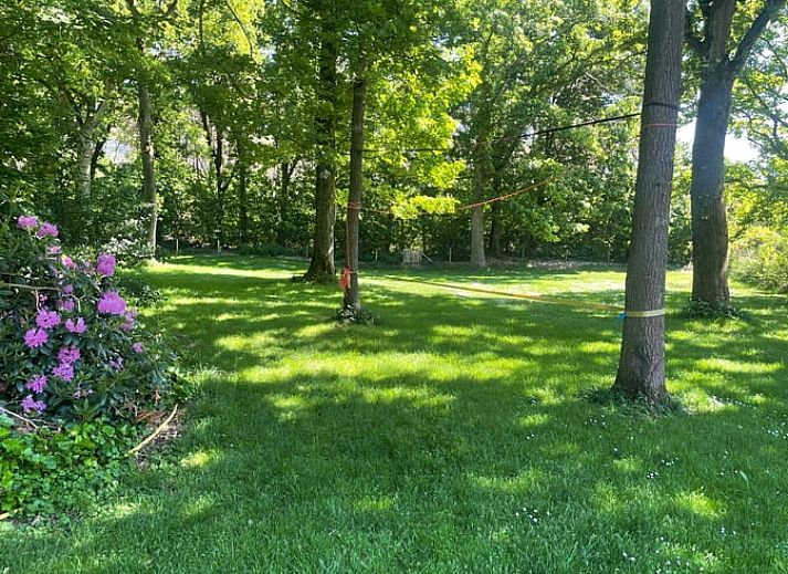 Unterkunft 411613 - Ferienhaus Kempen - Vakantiehuis in Bladel