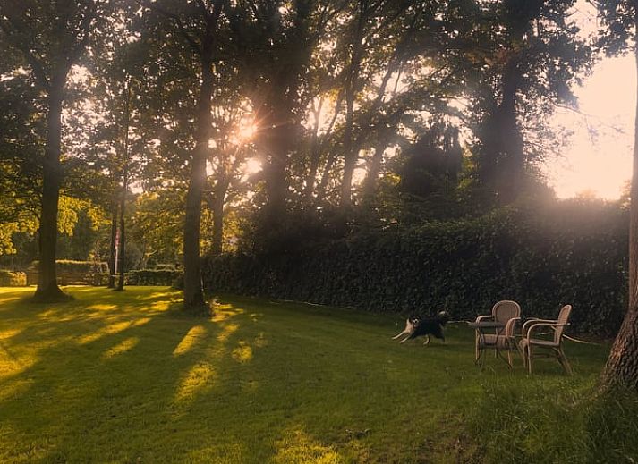 Unterkunft 411613 - Ferienhaus Kempen - Vakantiehuis in Bladel