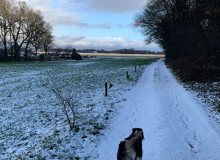 Unterkunft 411613 - Ferienhaus Kempen - Vakantiehuis in Bladel