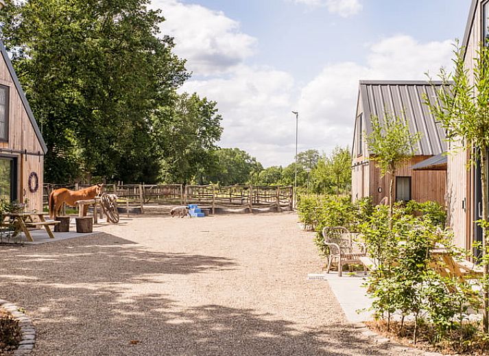 Cottage in Eersel, Ferienhaus in den Kempen, Nordbrabant, mit charmanter Holzfassade und einladender Terrasse.