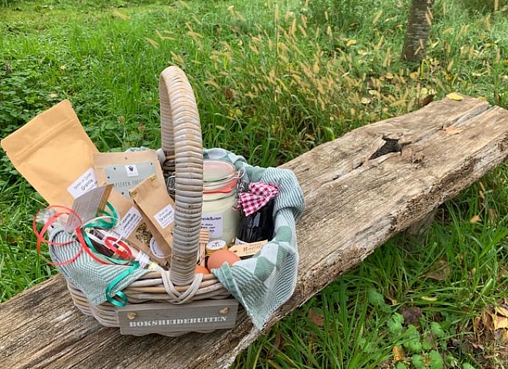 Kinder spielen im Garten von Huisje in Eersel, einem Ferienhaus in Eersel, Kempen, Nordbrabant.