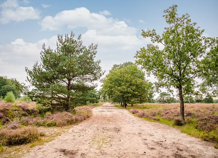 Rustikale Umgebung von Huisje in Eersel, Ferienhaus in den Kempen, Nordbrabant, mit laendlichem Charme.