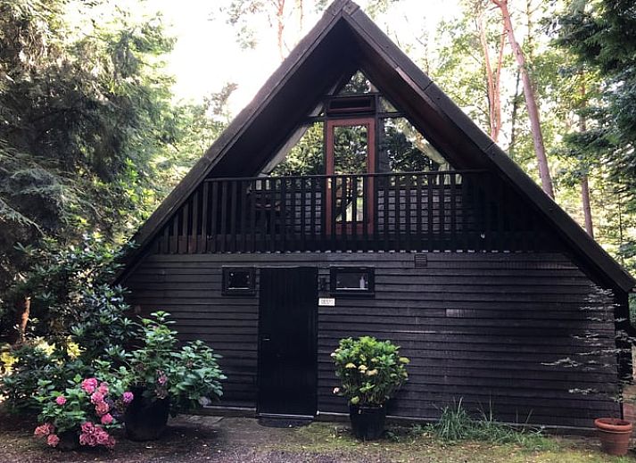 Guest house 411840 • Holiday property Kempen • Huisje in Eersel