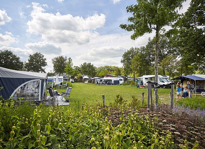 Verblijf 411845 - Vakantiewoning Kempen - Comfort kampeerplaats