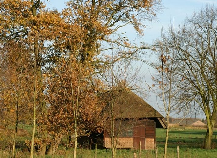 Verblijf 411944 - Vakantiewoning Kempen - Vakantiehuis in Baarschot (Hilvarenbeek)