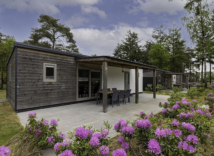 Woodlodge XL 588 chalet in Vessem, Kempen met moderne veranda en bloeiende tuin.