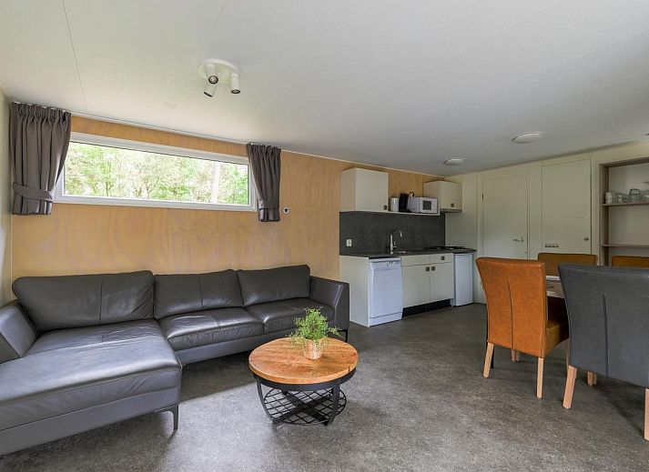 Woodlodge XL 588 chalet in Vessem, Kempen met moderne veranda en bloeiende tuin.