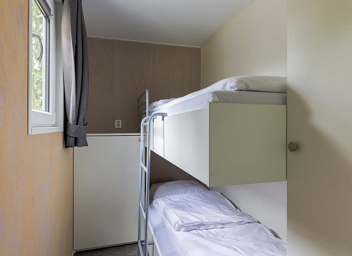 Rustieke omgeving van Woodlodge XL 588 in Vessem, omgeven door natuur en bloemen.