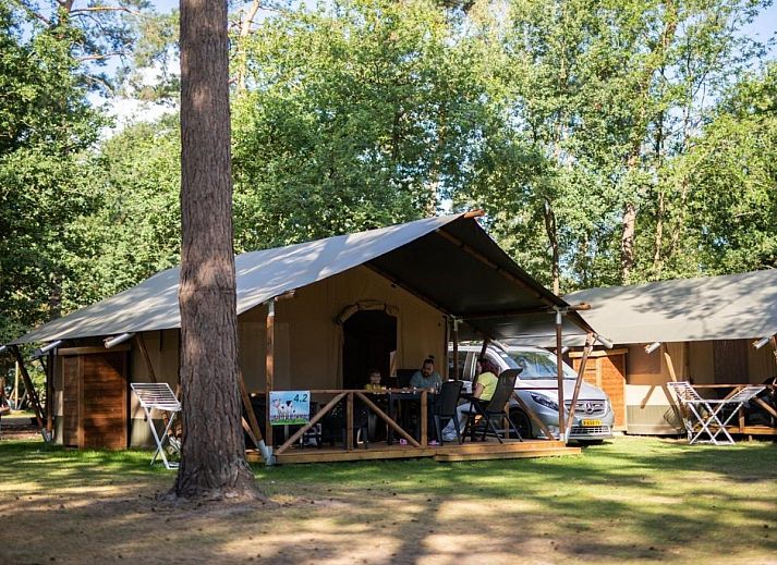 Unterkunft 412006 - Zelthaus Kempen - Safaritent 4