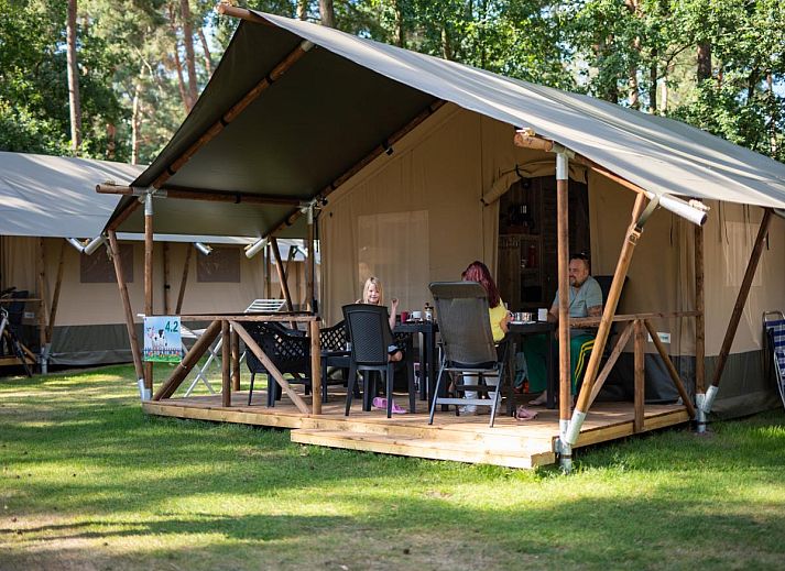 Unterkunft 412006 - Zelthaus Kempen - Safaritent 4