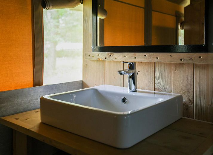 Unterkunft 412006 - Zelthaus Kempen - Safaritent 4