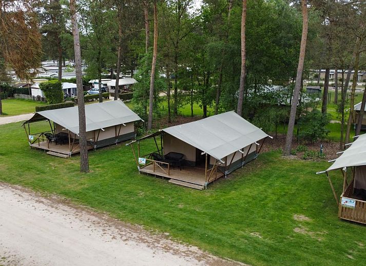 Unterkunft 412006 - Zelthaus Kempen - Safaritent 4