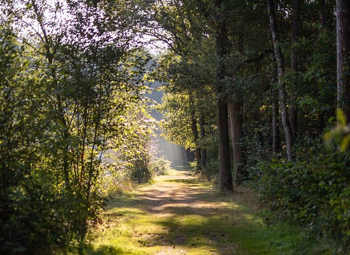 Unterkunft 412006 - Zelthaus Kempen - Safaritent 4
