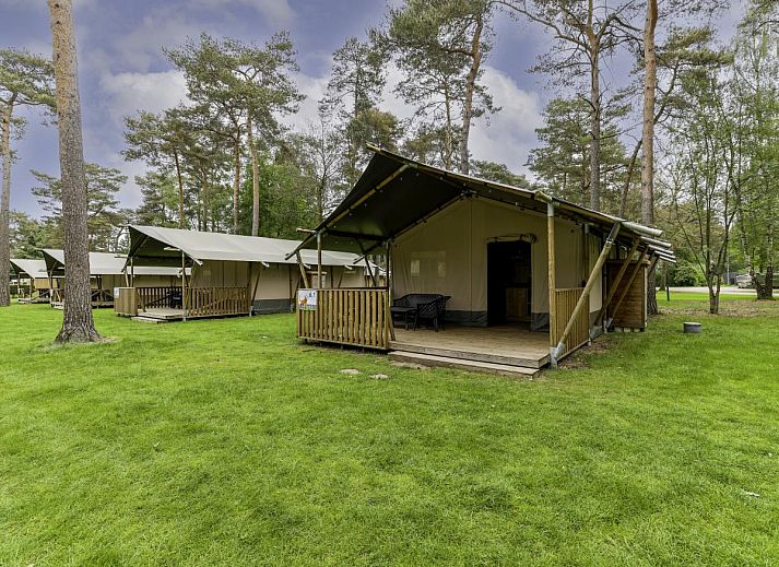 Unterkunft 412007 - Zelthaus Kempen - Safaritent 6