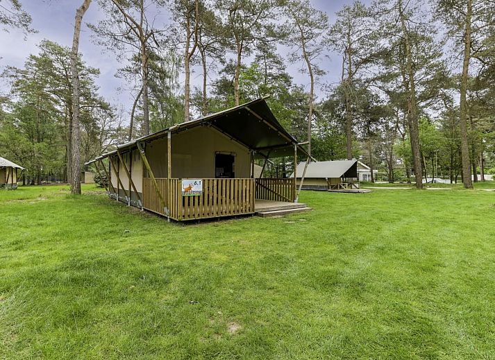 Unterkunft 412007 - Zelthaus Kempen - Safaritent 6