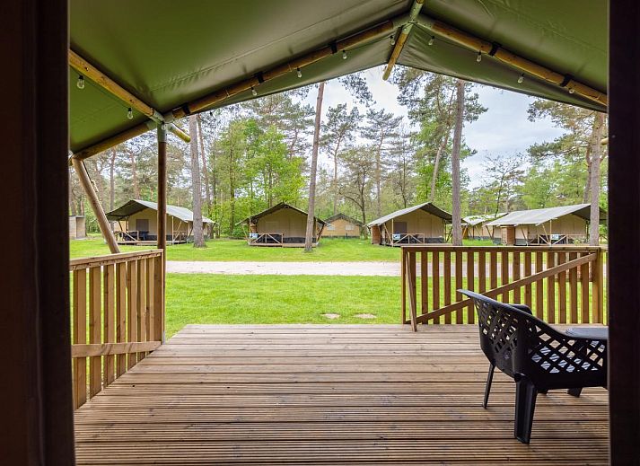 Unterkunft 412007 - Zelthaus Kempen - Safaritent 6