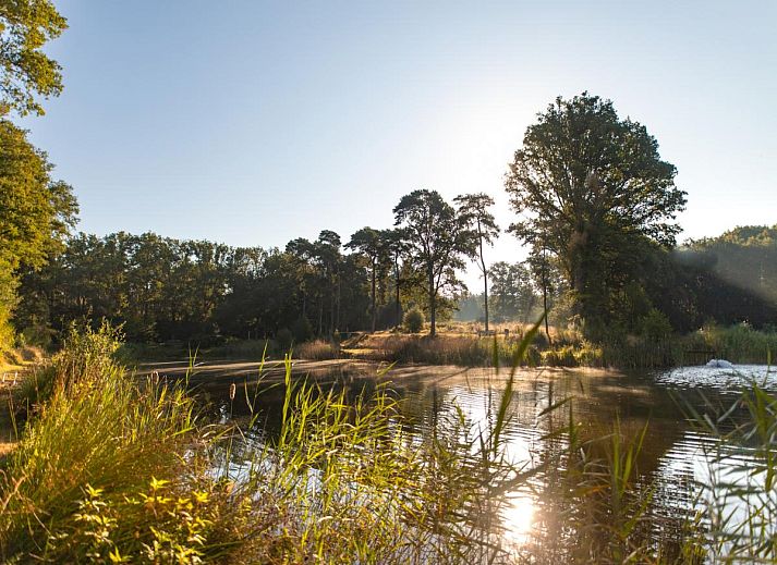 Unterkunft 412007 - Zelthaus Kempen - Safaritent 6