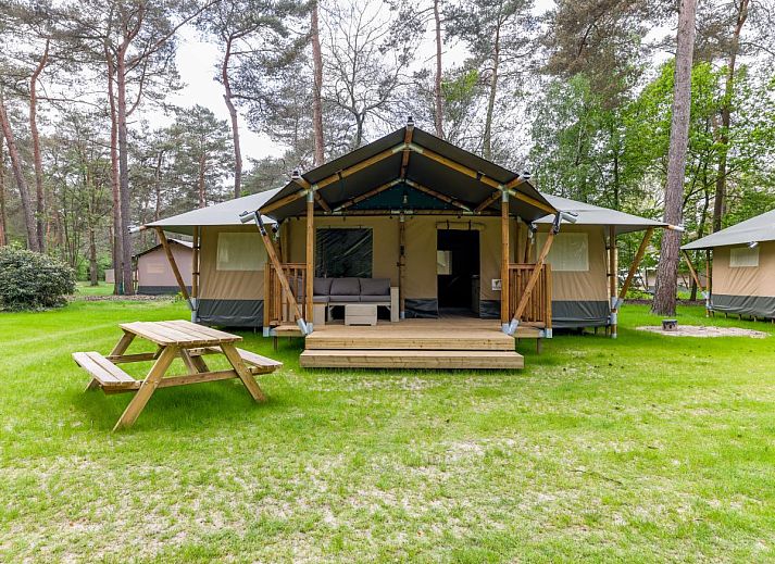 Safaritent 7 in Vessem, Kempen, Noord Brabant met ruime veranda en groene omgeving voor ultieme glamping ervaring.