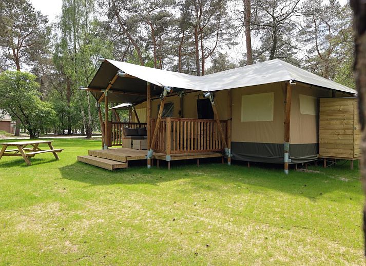 Safaritent 7 in Vessem, Kempen, Noord Brabant met ruime veranda en groene omgeving voor ultieme glamping ervaring.