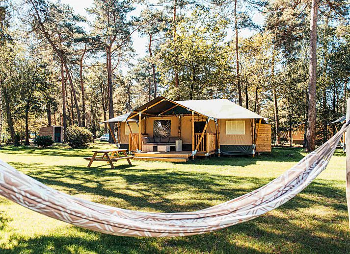 Verblijf 412012 • Tenthuis Kempen • Safaritent + sanitair