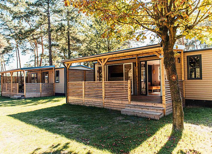 Verblijf 412018 • Vakantiewoning Kempen • Boslodge