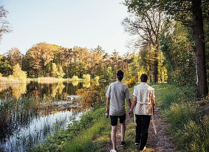 Geniet van waterpret bij Timber-Lodge in Vessem, Kempen. Perfecte plek voor een gezinsvakantie in een gezellige chalet in Noord Brabant.