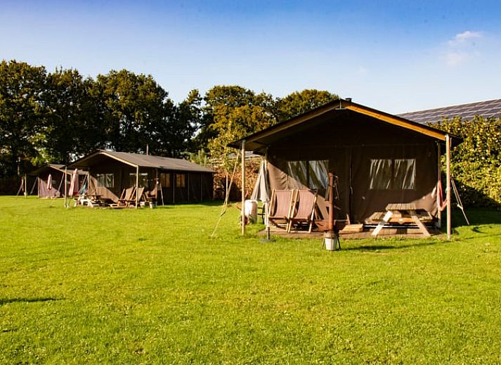 Unterkunft 412202 • Ferienhaus Kempen • Huisje in Hooge Mierde 