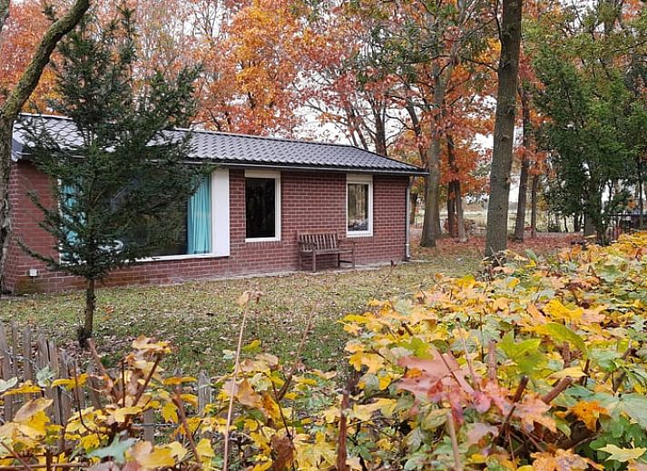 Unterkunft 412507 • Ferienhaus Kempen • Vakantiehuis in Soerendonk
